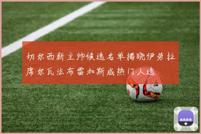 切尔西新主帅候选名单揭晓伊劳拉席尔瓦法布雷加斯成热门人选